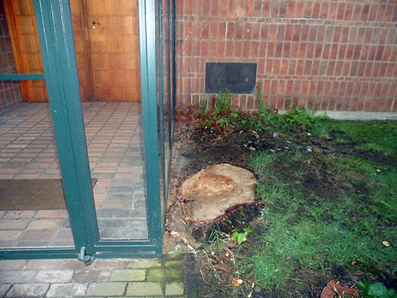 Baum 2 Baum 2